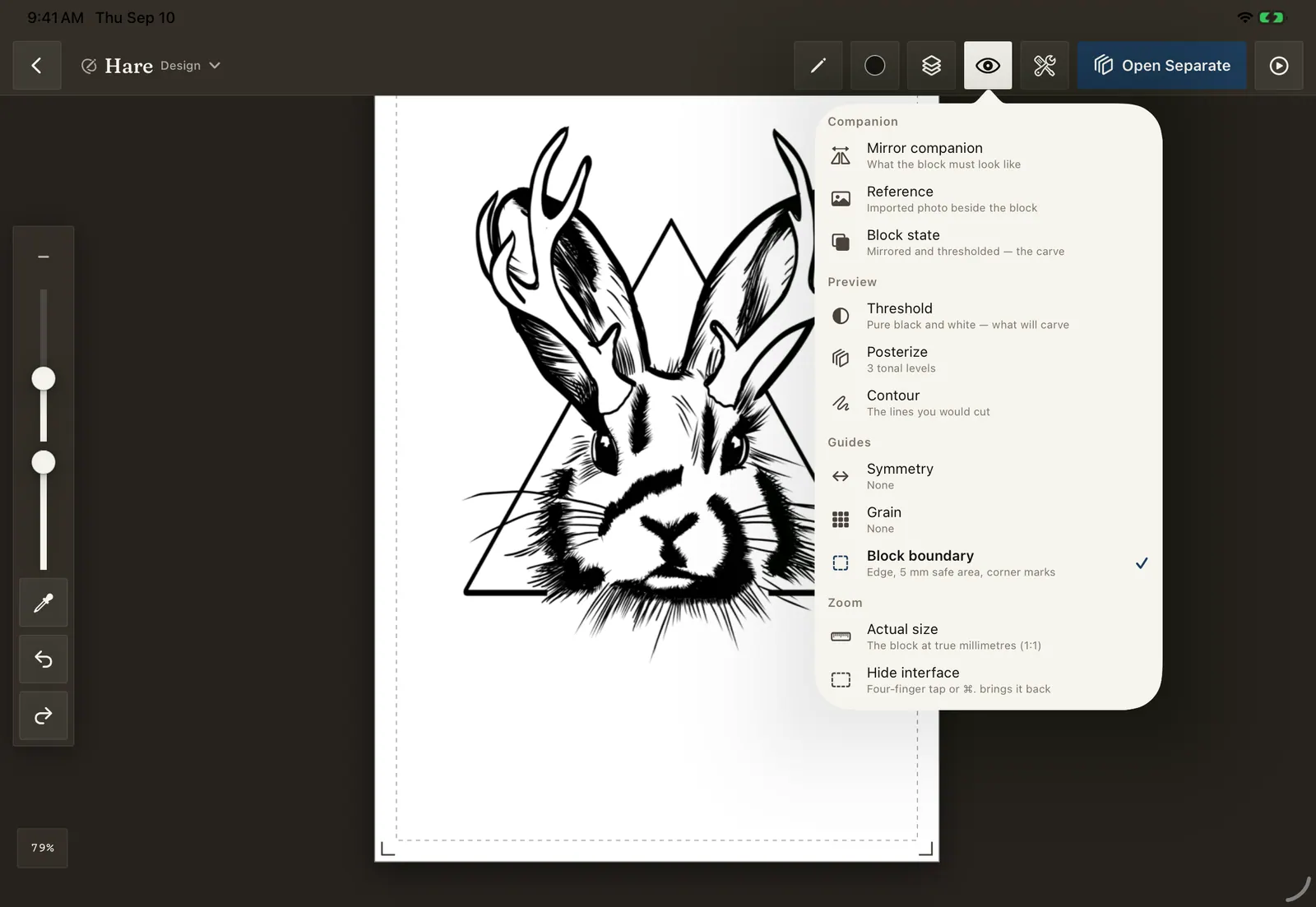 The View menu in Brayer's Design module listing Mirror companion, Reference, Block state, Threshold, Posterize, Contour, Symmetry, Grain, Block boundary, Actual size and Hide interface.